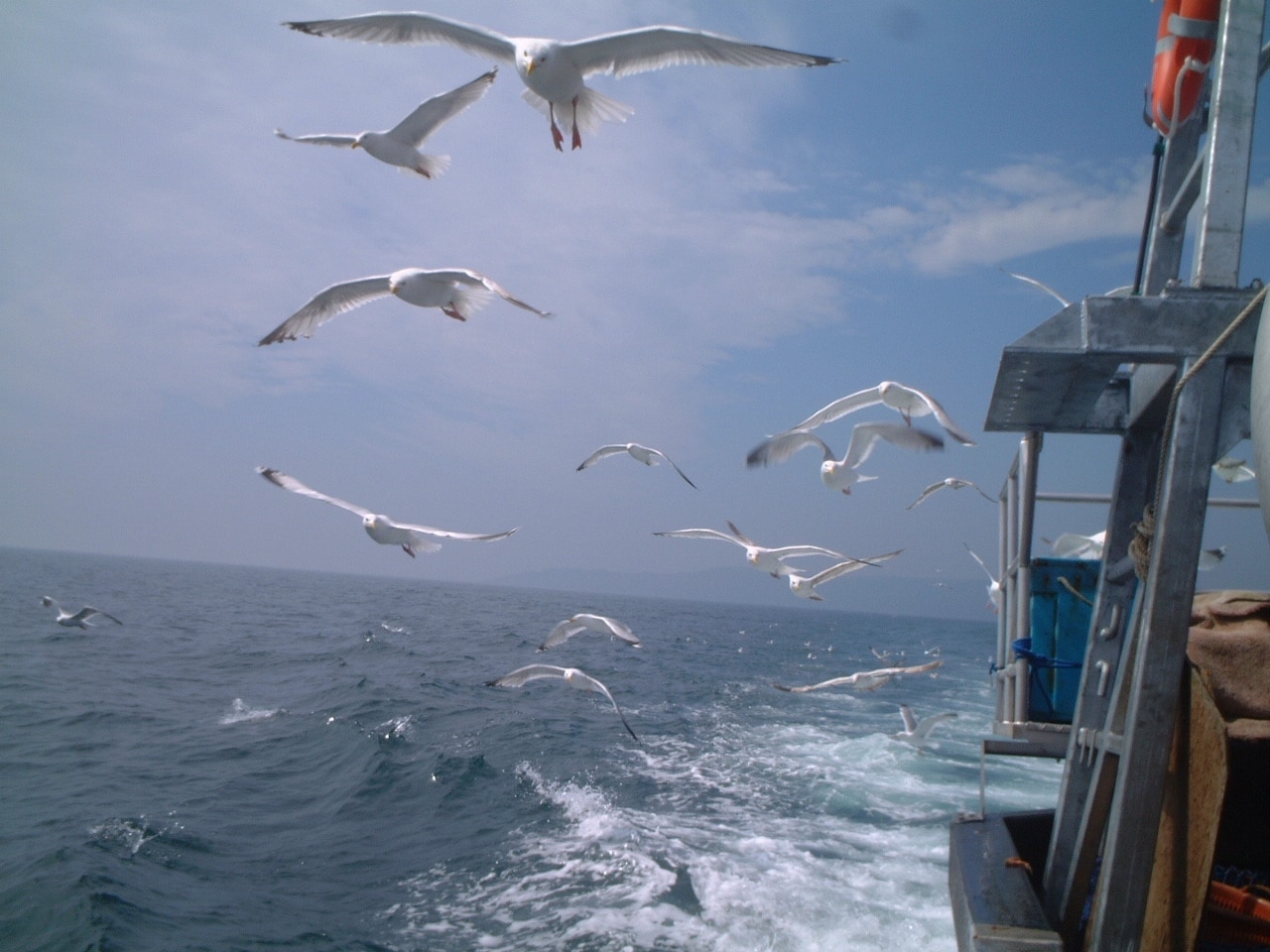 Gallery Britannia The Beach